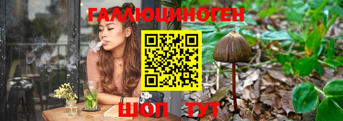Псилоцибиновые грибы Magic Shrooms Батайск